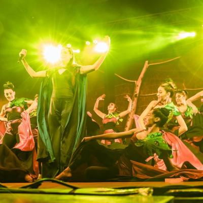 Ballets 110