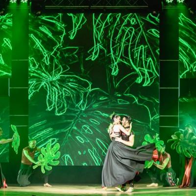 Ballets 65