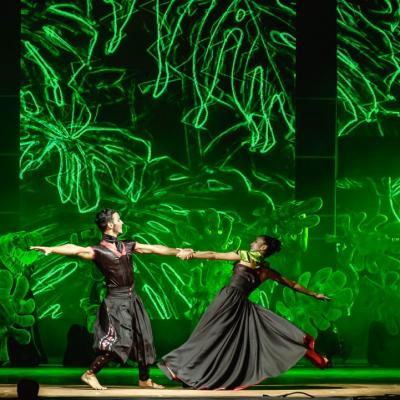 Ballets 80