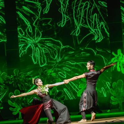 Ballets 85