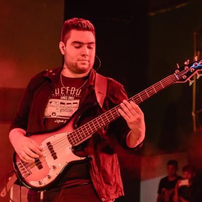 Fernandovogel 11