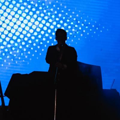 Fernandovogel 13