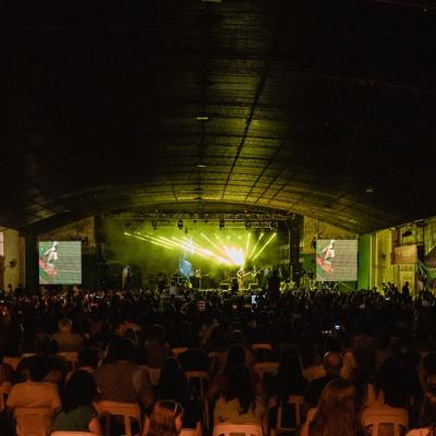 Fernandovogel 14