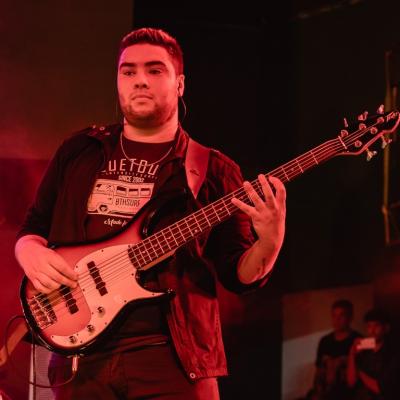 Fernandovogel 15