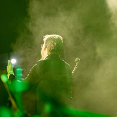 Fernandovogel 1