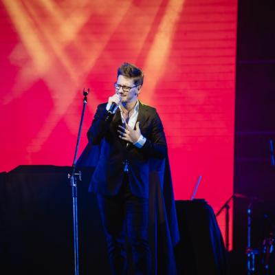 Fernandovogel 29