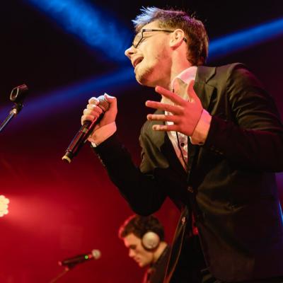 Fernandovogel 31