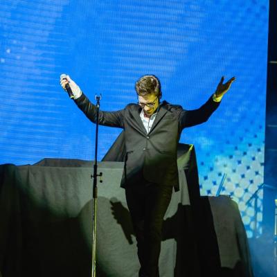 Fernandovogel 4