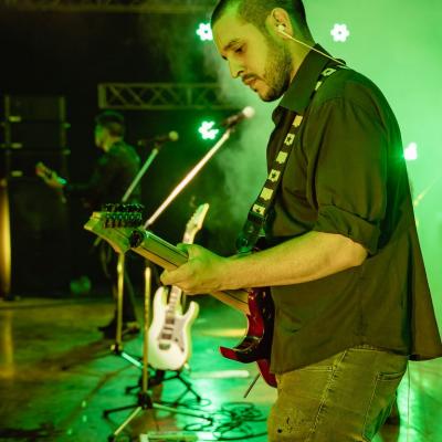 Fernandovogel 57