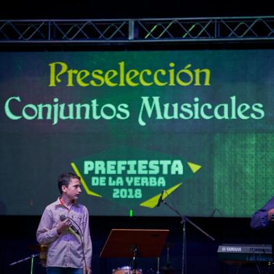 Prefiesta Conjuntos 14