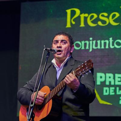 Prefiesta Conjuntos 223