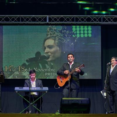 Prefiesta Conjuntos 232